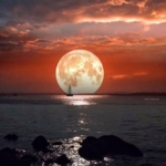 Levent Akson - HAVADAN DENİZDEN