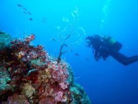 20’ınci yılında Türk sualtı arkeolojisi