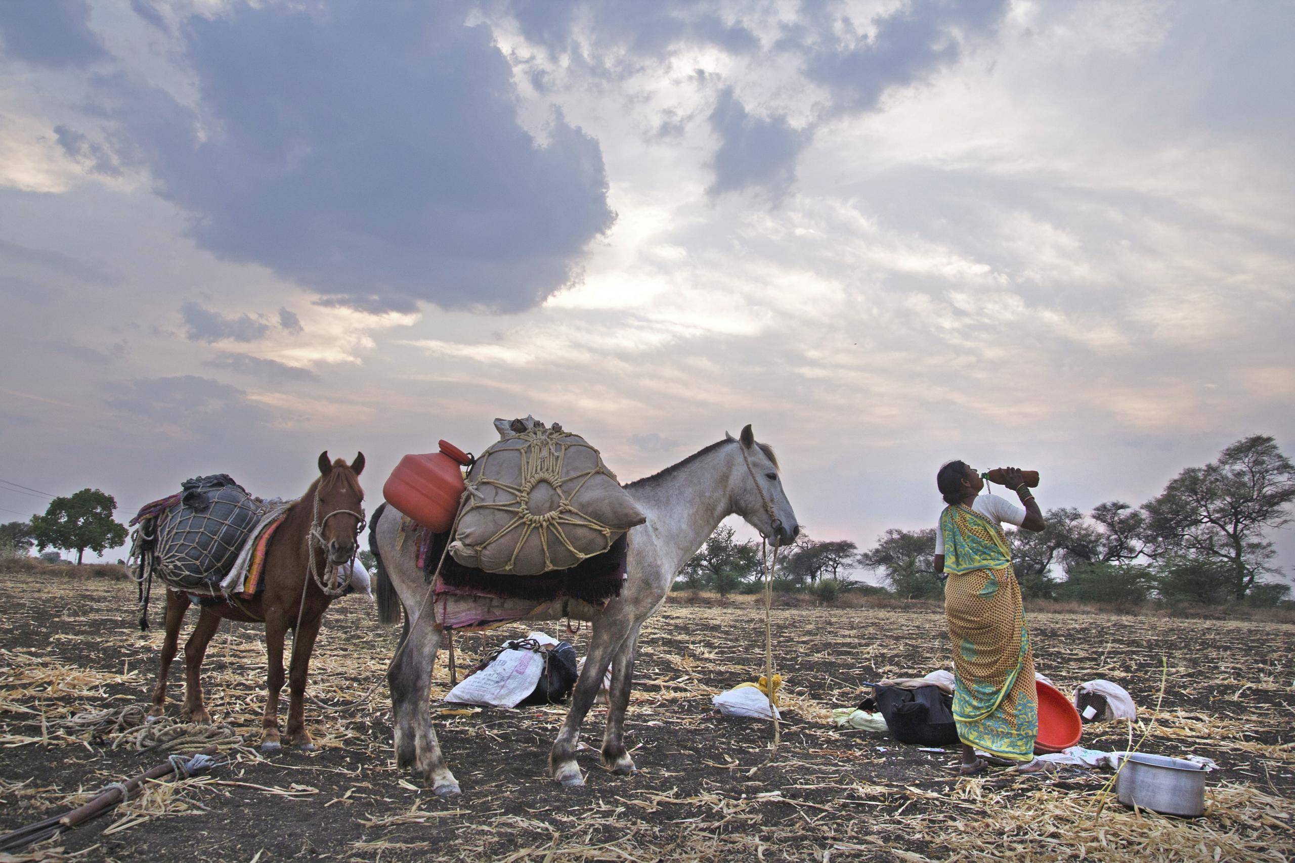 Migrating Family in Maharashtra