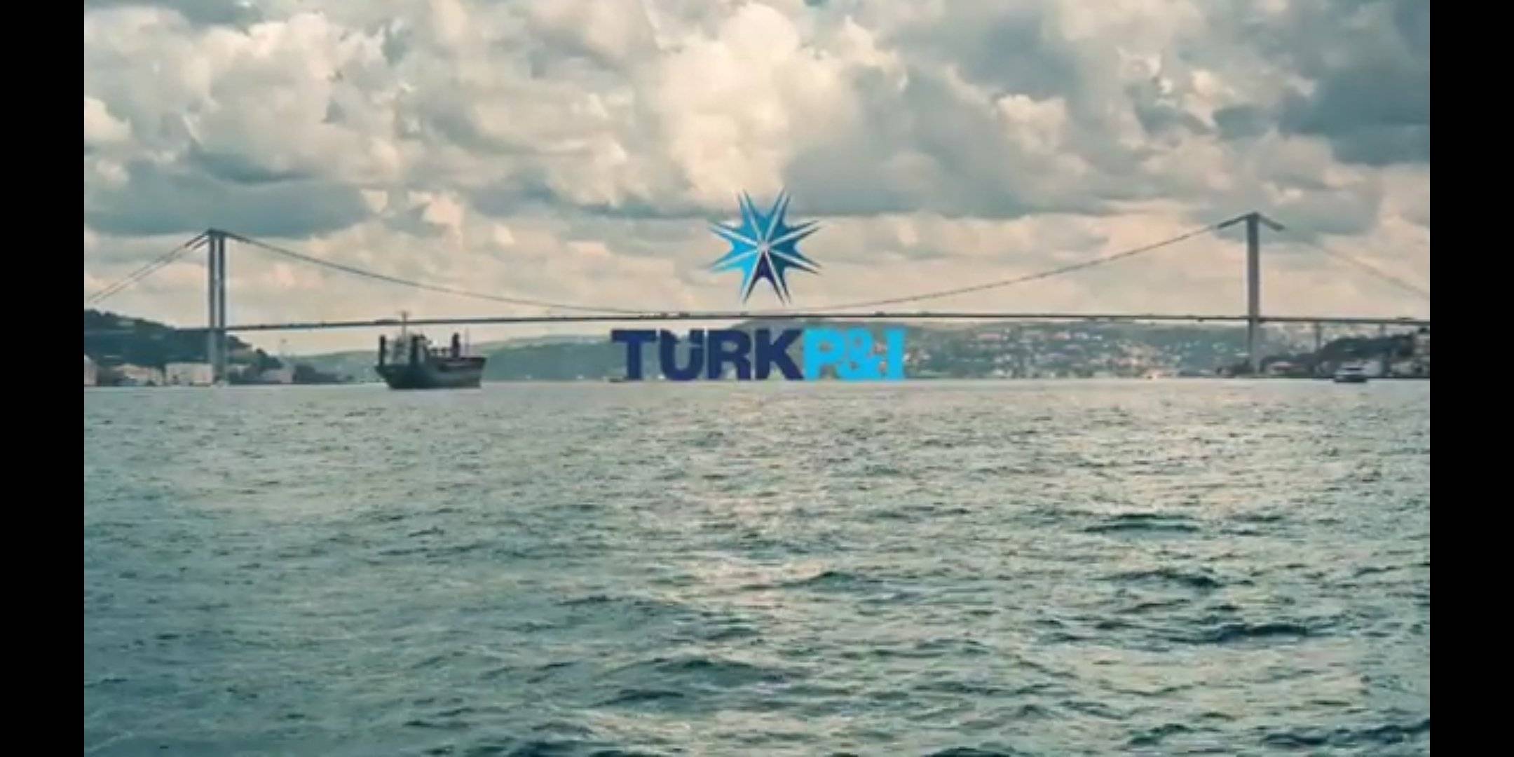 türk pandi video (4)