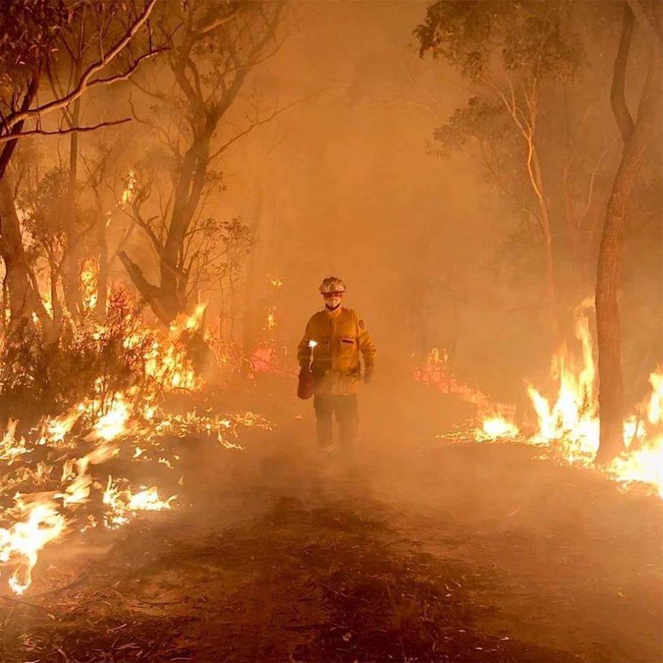 WWF Türkiye’den Ada-Kıta’ya Dikkat Çeken Uyarı