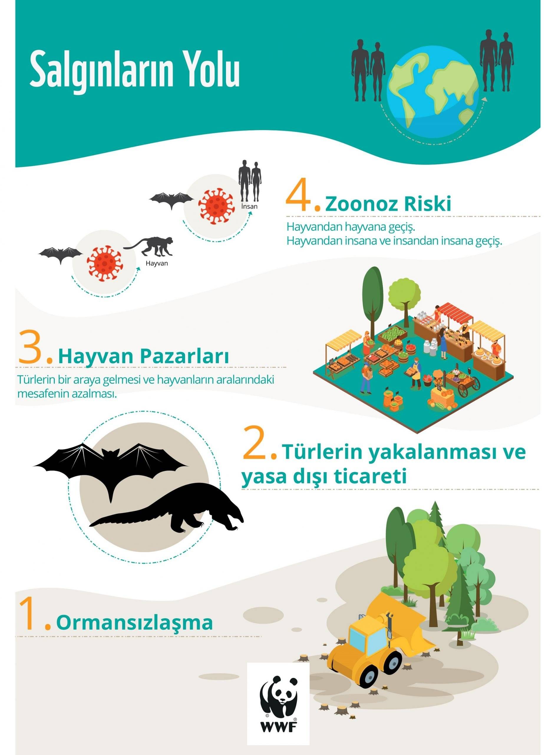 _nfografik_Salg_nlar_n Yolu