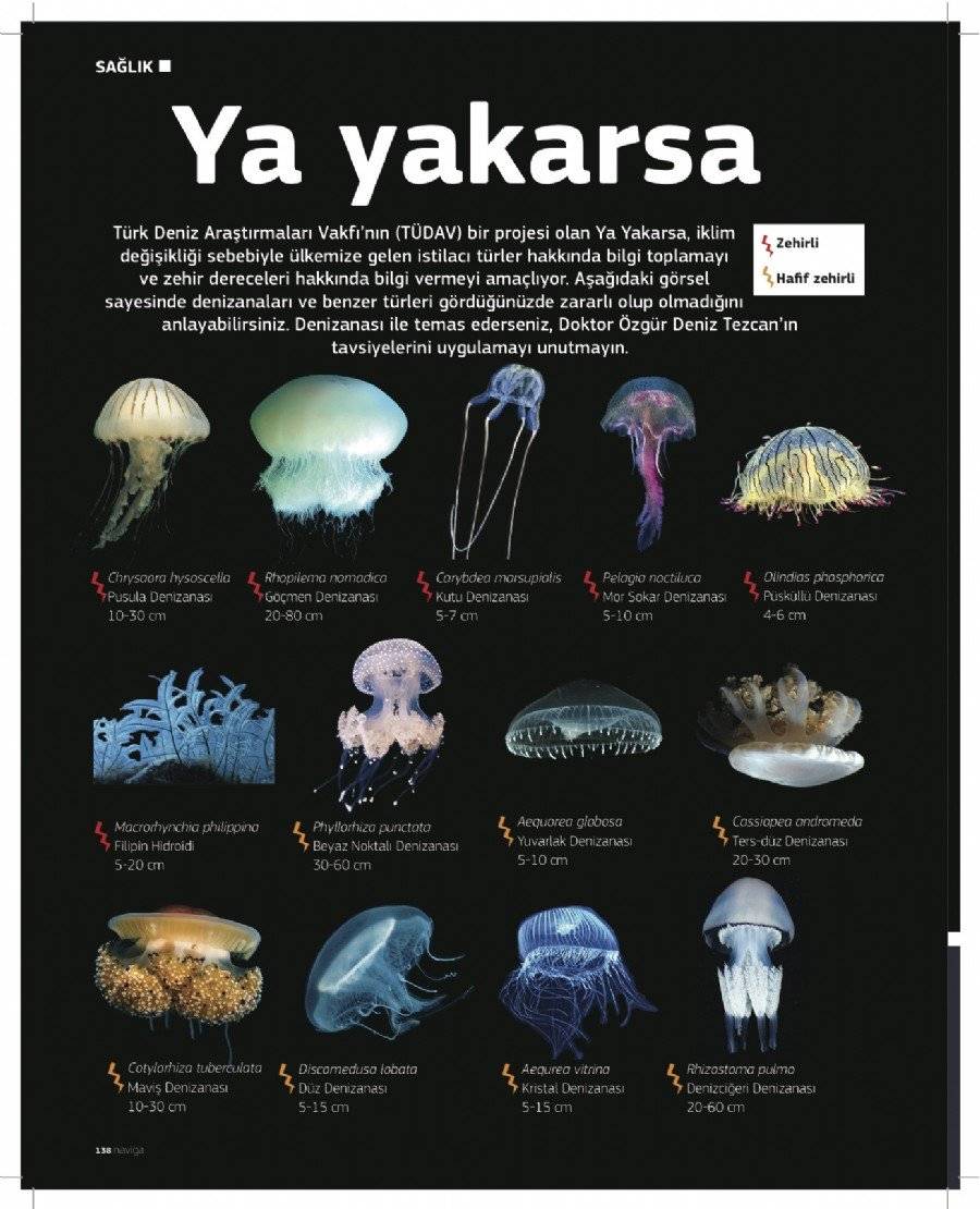 k_2kri1z1plv90178v76v7