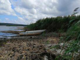 Sucul ekosistemleri inceleyen uzmanlar “İklim değişikliğinin etkileri tahminimizden hızlı geliyor”