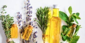 Yüzyılın hastalığına karvacrol umudu