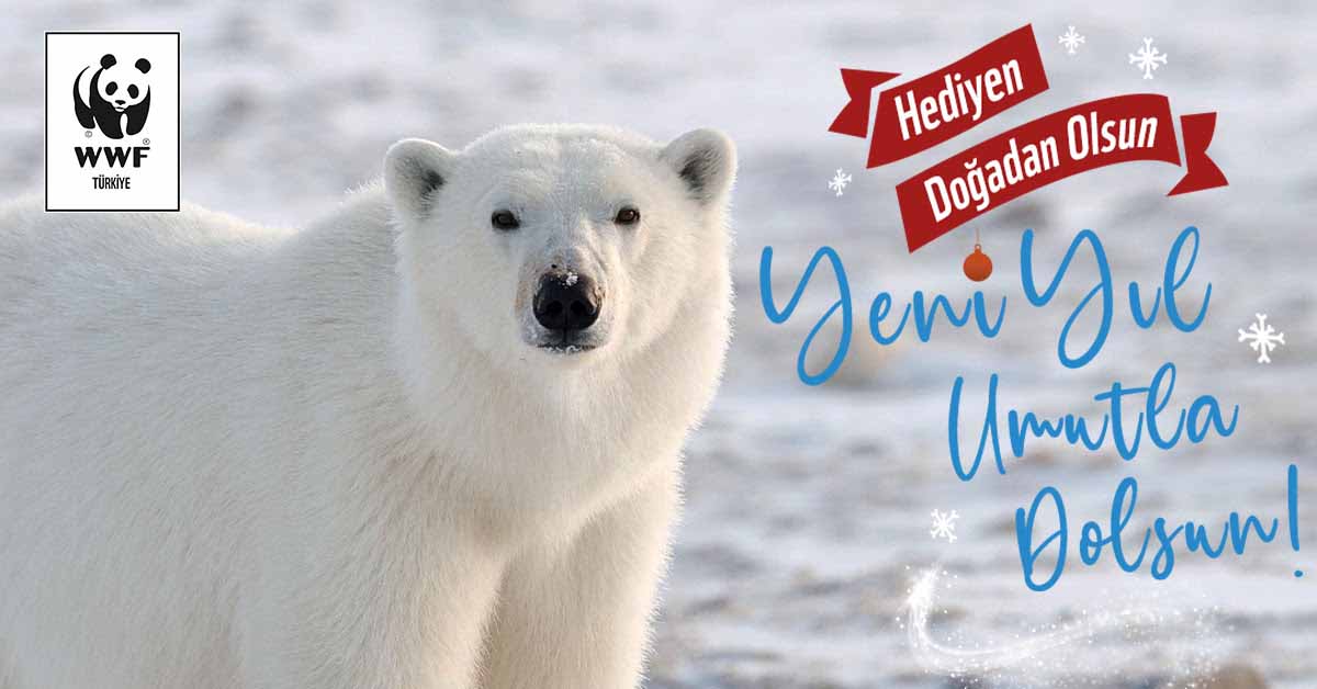 wwf 2021
