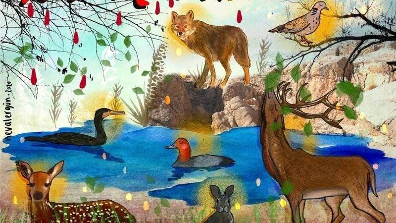 Yaşasın Kuşlar Kampanyası Doğanın Sesi Olacak