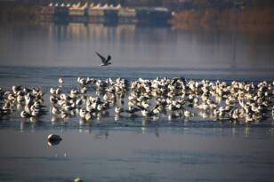 Kışın güzellikleriyle Gölbaşı