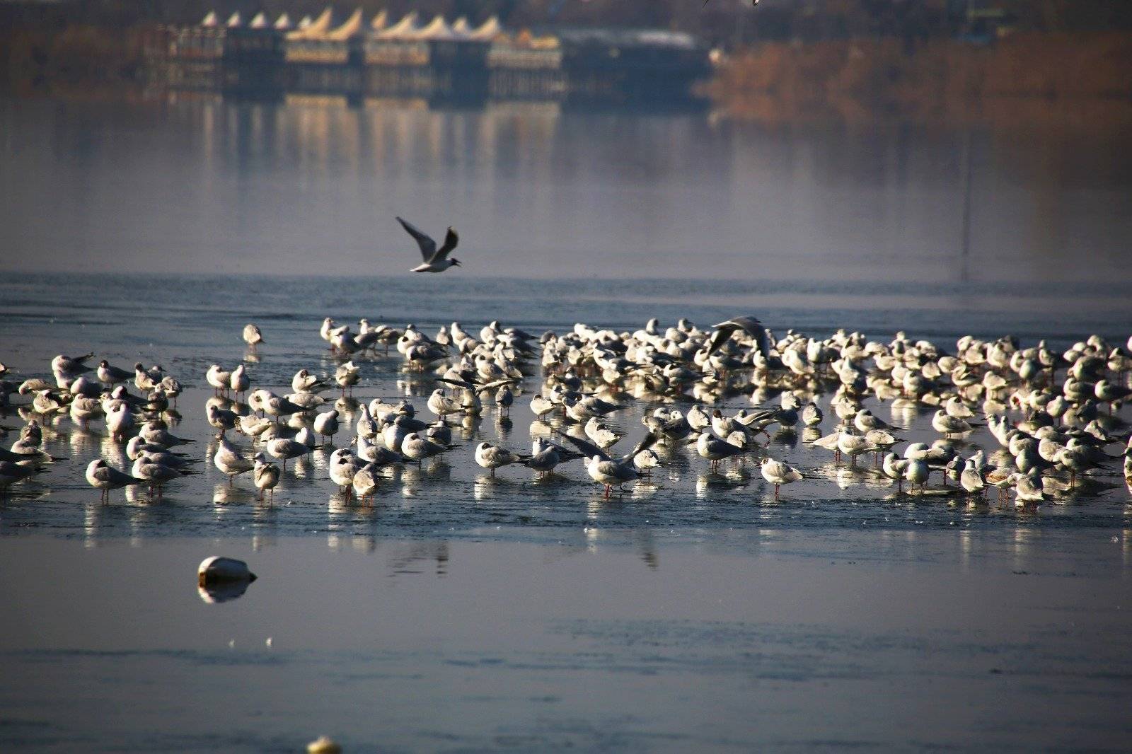Kışın güzellikleriyle Gölbaşı