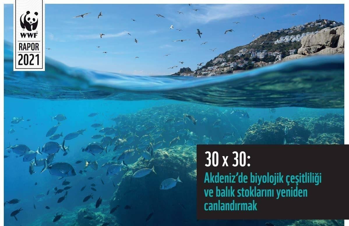 wwf akdeniz 12