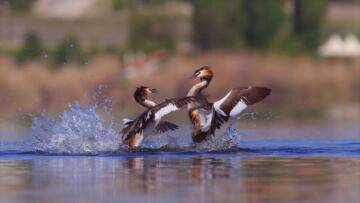 KADRAJIMDA GÖLBAŞI ÖDÜLLERİ