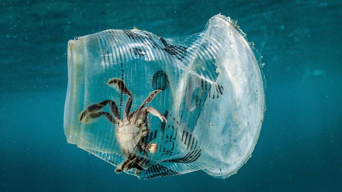 plastik kirlilik