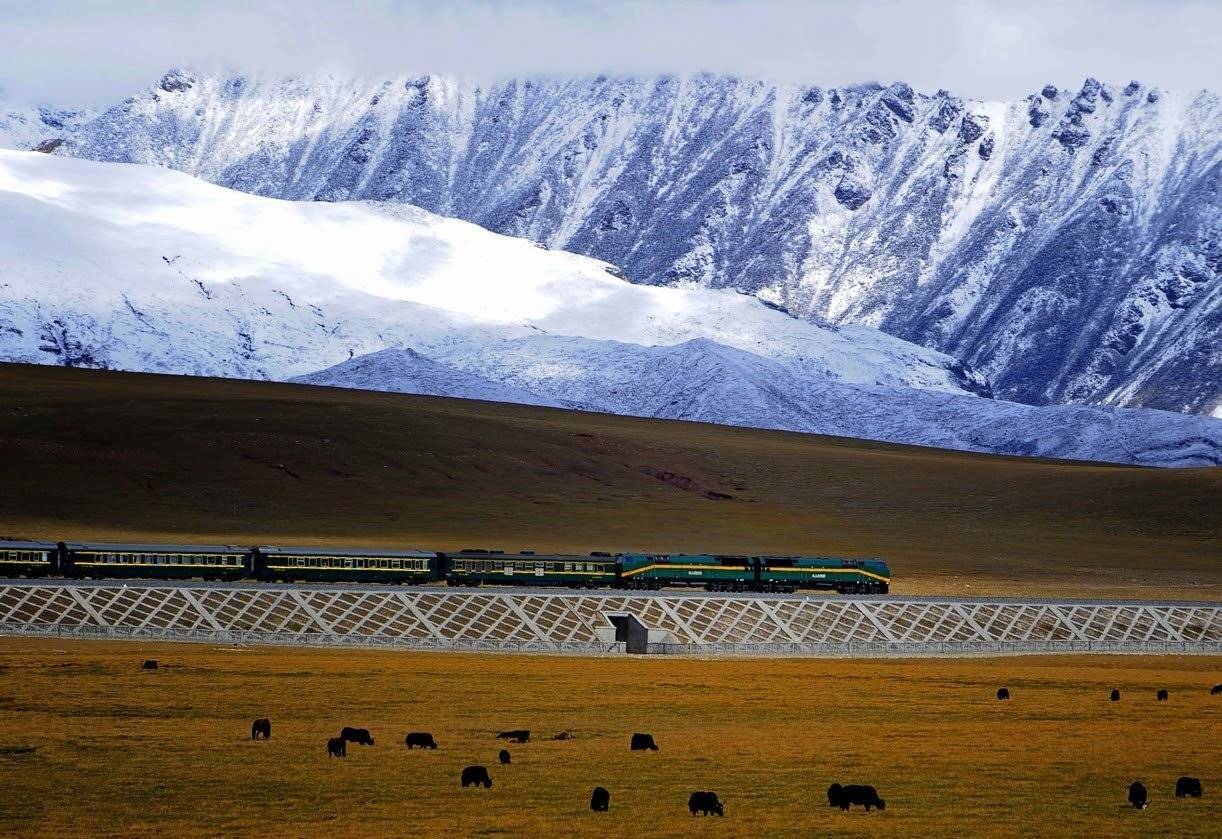tibet tren (1)