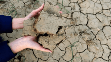 Güneydoğu’da kuraklık alarmı verildi