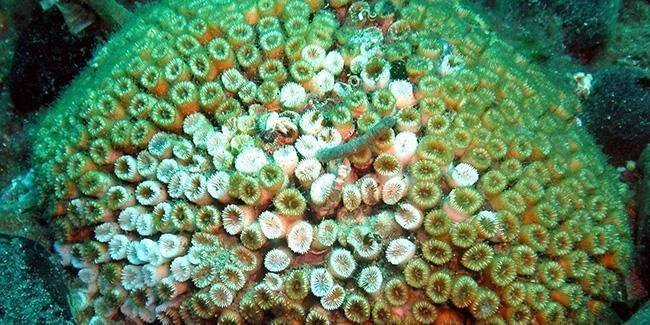 606eaa0f70380e1e4cd190a5