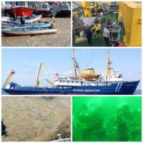 FELAKETİ DURDURUN… R/V Alemdar Müsilaj İçin İzmit Körfezi’nde