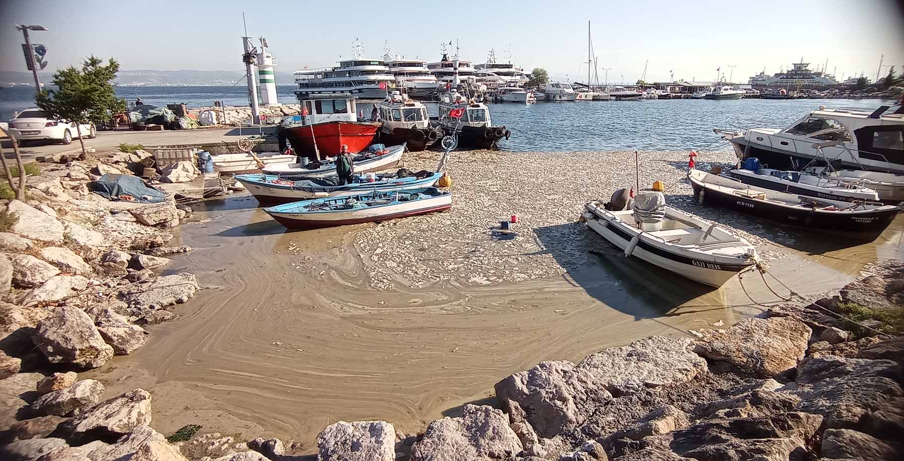 Müsilaj dile geldi “BİLİM İNSANLARINI DİNLEMEDİNİZ BEN OLDUM”
