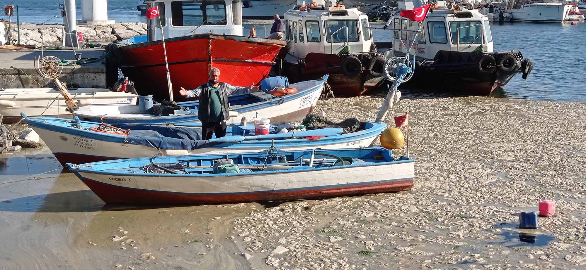musilaj 23