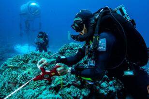 Okyanuslar için Acil Durum İlan Edildi