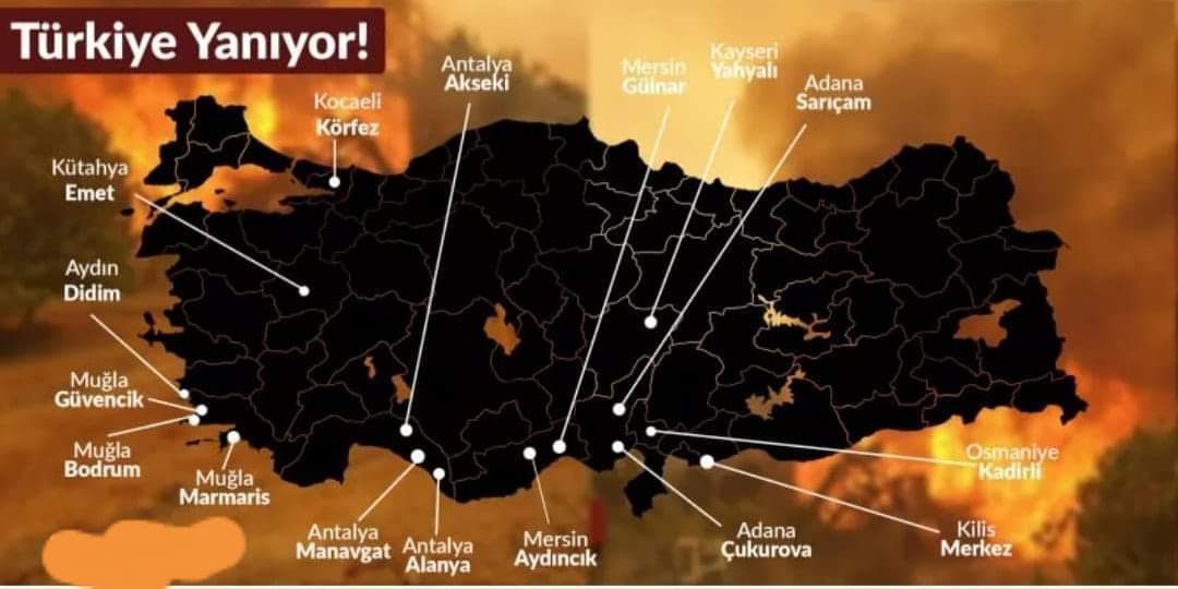 orman yangını (5)