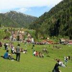 rize yaylaları (7)