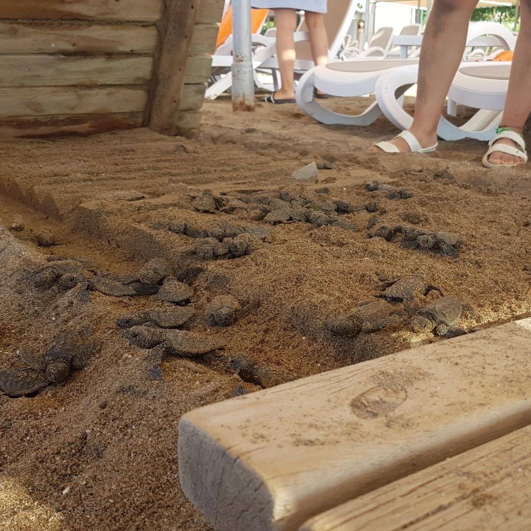 bbcturkce_240754265_613239693032687_1273560545343041957_n (1)