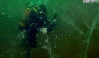 Müsilaj bitmedi! Dibe çöktü… Balık sezonunda müsilaj tehlikesi