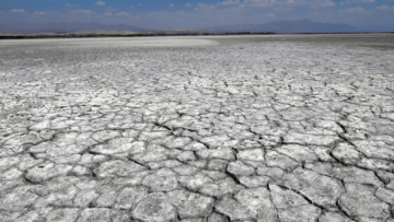 Van Gölü’nde rekor çekilme! Kuraklık tehlikesi alarm veriyor