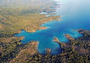 Deniz Koruma Alanları Kılavuzu En Ünlü Bilim Dergisi’nde Yayınlandı