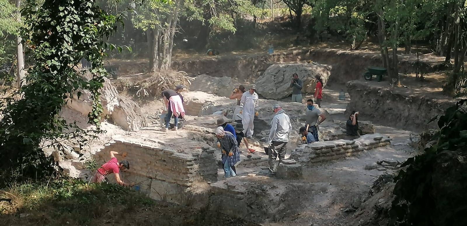 bathonea martiryon (6)