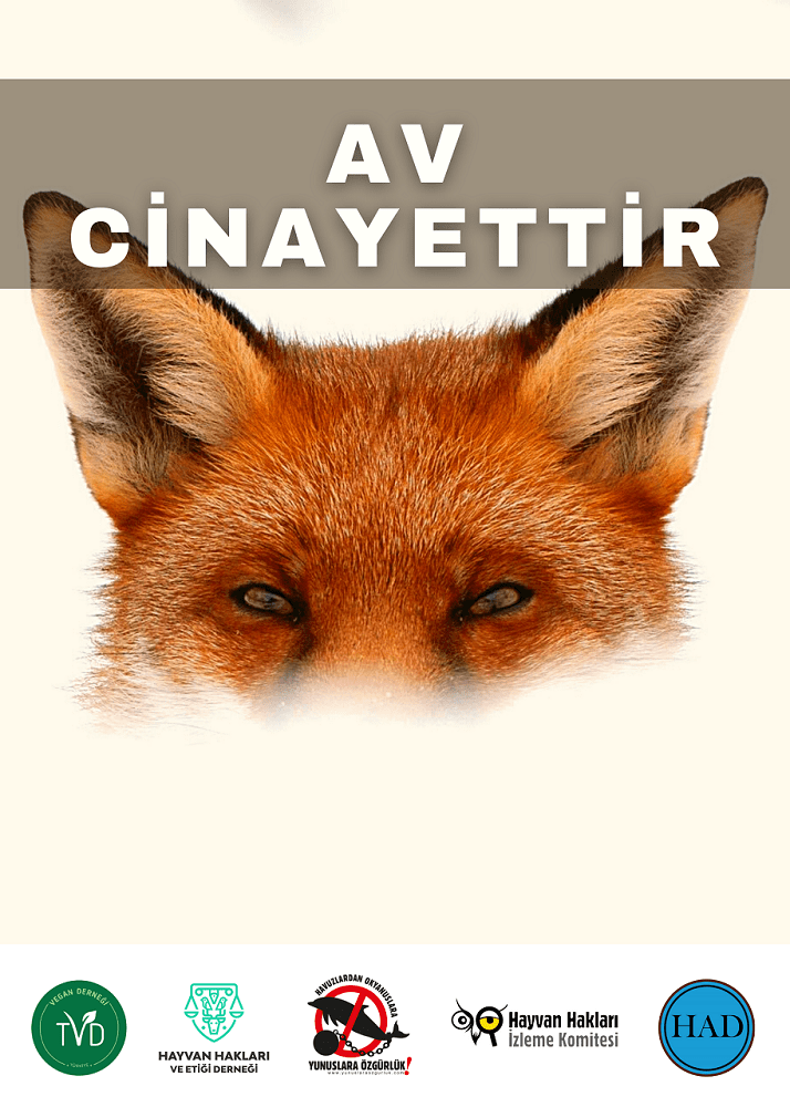 AV cinayettir (1)