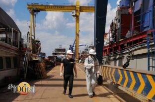 Artan böceklere karşı çare Toğral Haşere İlaçlama