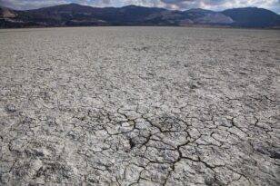 SU KITLIĞI ÇUKUROVA’DA RESMEN İLAN EDİLDİ… PROF. DR. ORTAŞ DİKKAT ÇEKTİ