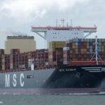 MSC Samar (5)