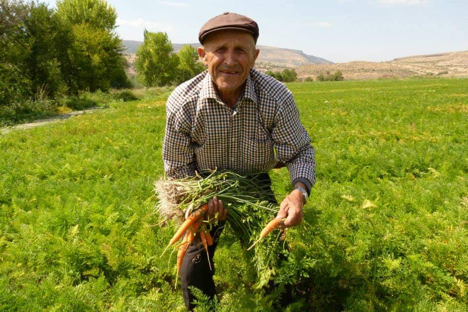 tarım