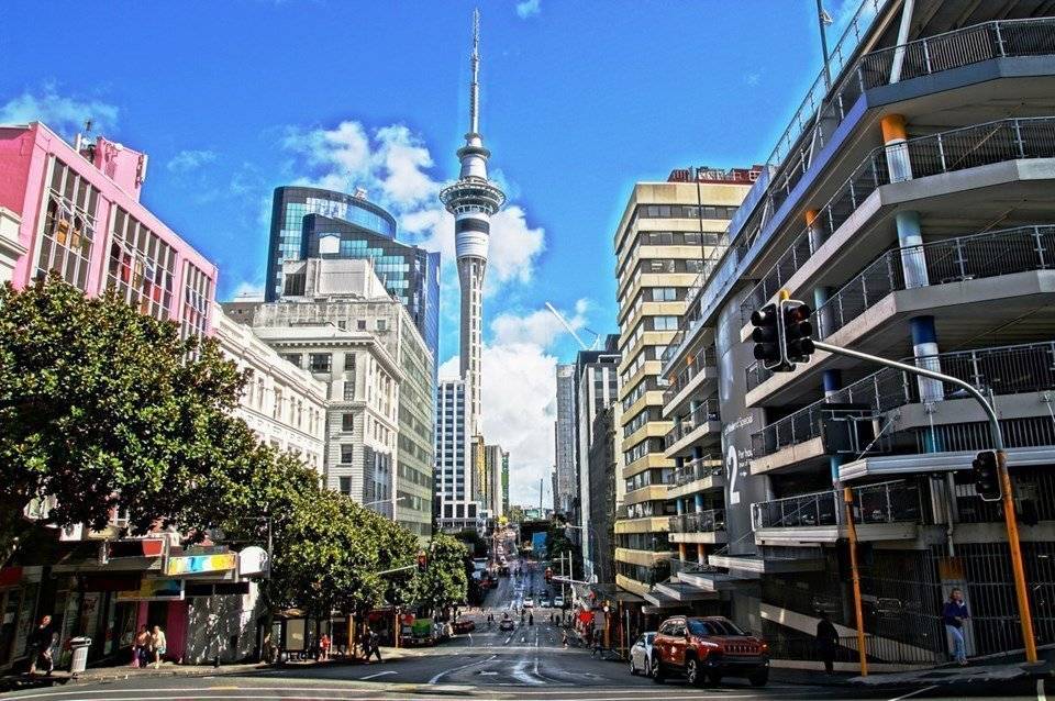 auckland (2)