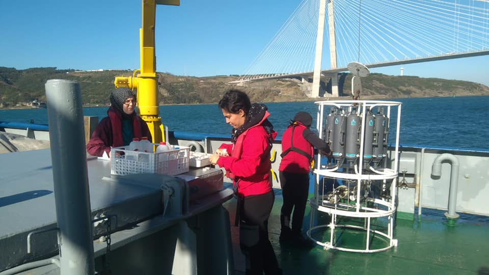 orkoz araştırması (1)