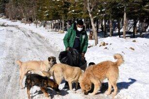 HAYDİ SOKAK HAYVANLARI İÇİN TEPEÖREN’DE BULUŞMAYA