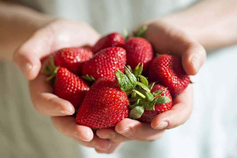 Man,Hands,Holding,Fresh,Strawberries