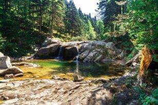 Çevre gününde küresel slogan “Tek Bir Dünya”