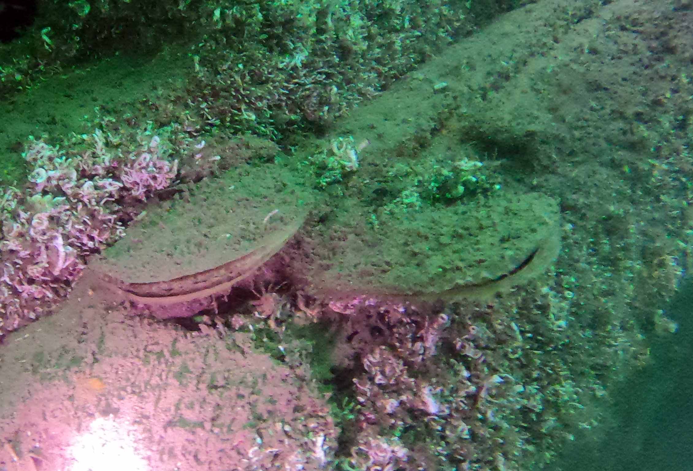 DCIM100GOPROGOPR0943.JPG