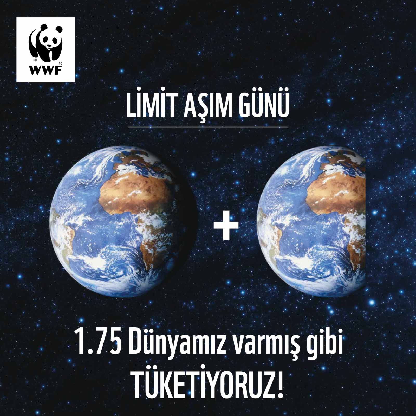 LİMİT 1