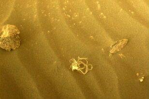 Mars’ta bulunan “uzaylı yosunun” sırrı çözüldü