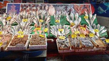 KİŞİ BAŞI YILLIK BALIK TÜKETİMİ 6-8 KİLOYU GEÇMİYOR