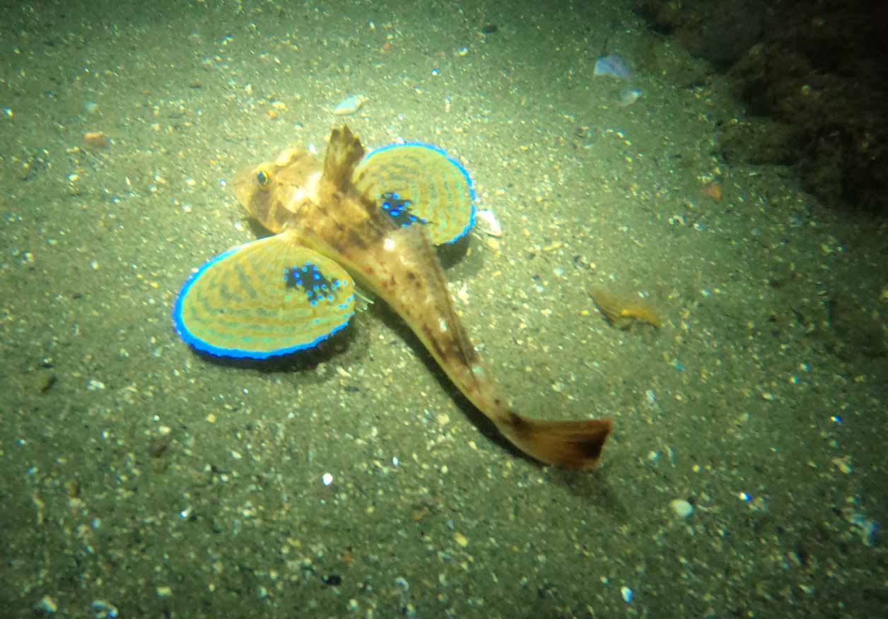 DCIM100GOPROGOPR2013.JPG