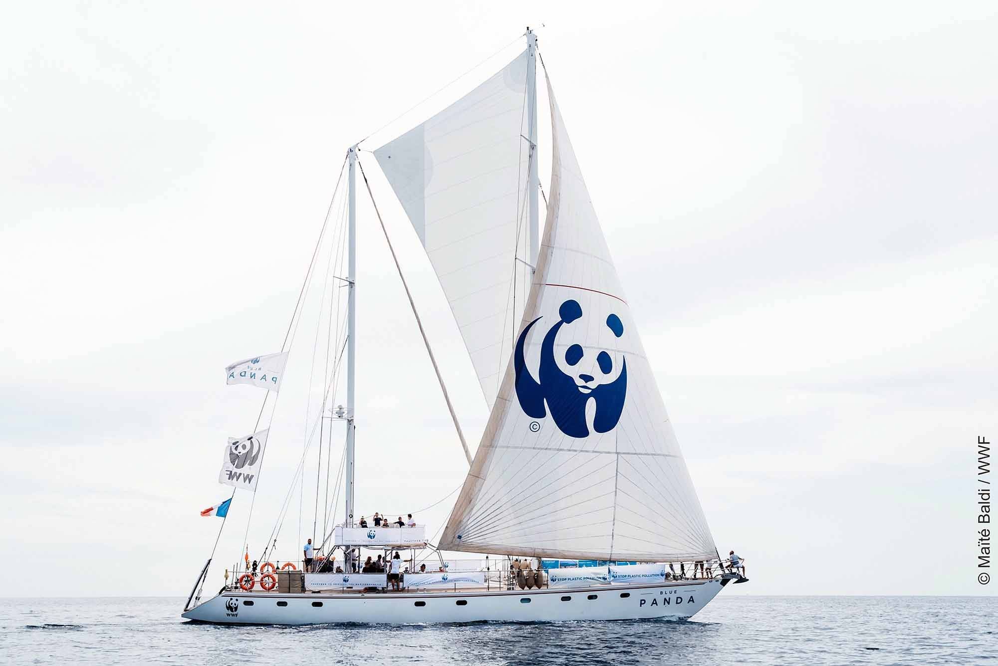 MAVİ PANDA TÜRKİYE’YE YELKEN AÇTI