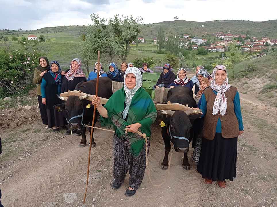 kağnı 21