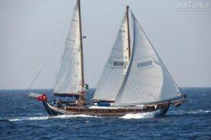 DENİZLERİN NAZİK SULTANLARI BULUŞUYOR