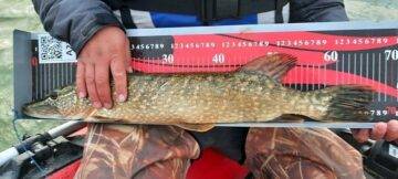 DOĞAYA VE EKOSİSTEME ZARAR VERMEDEN YARIŞMANIN ZEVKİ