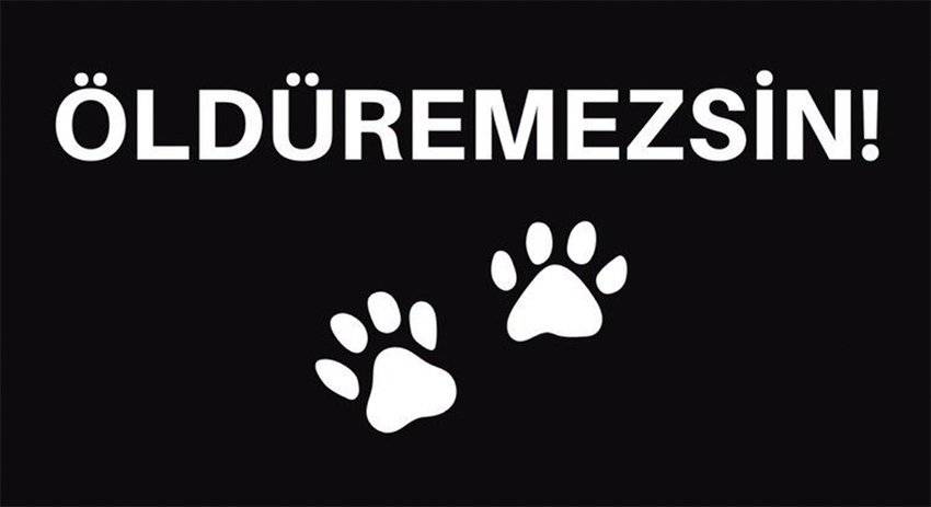 öldüremezsin 211